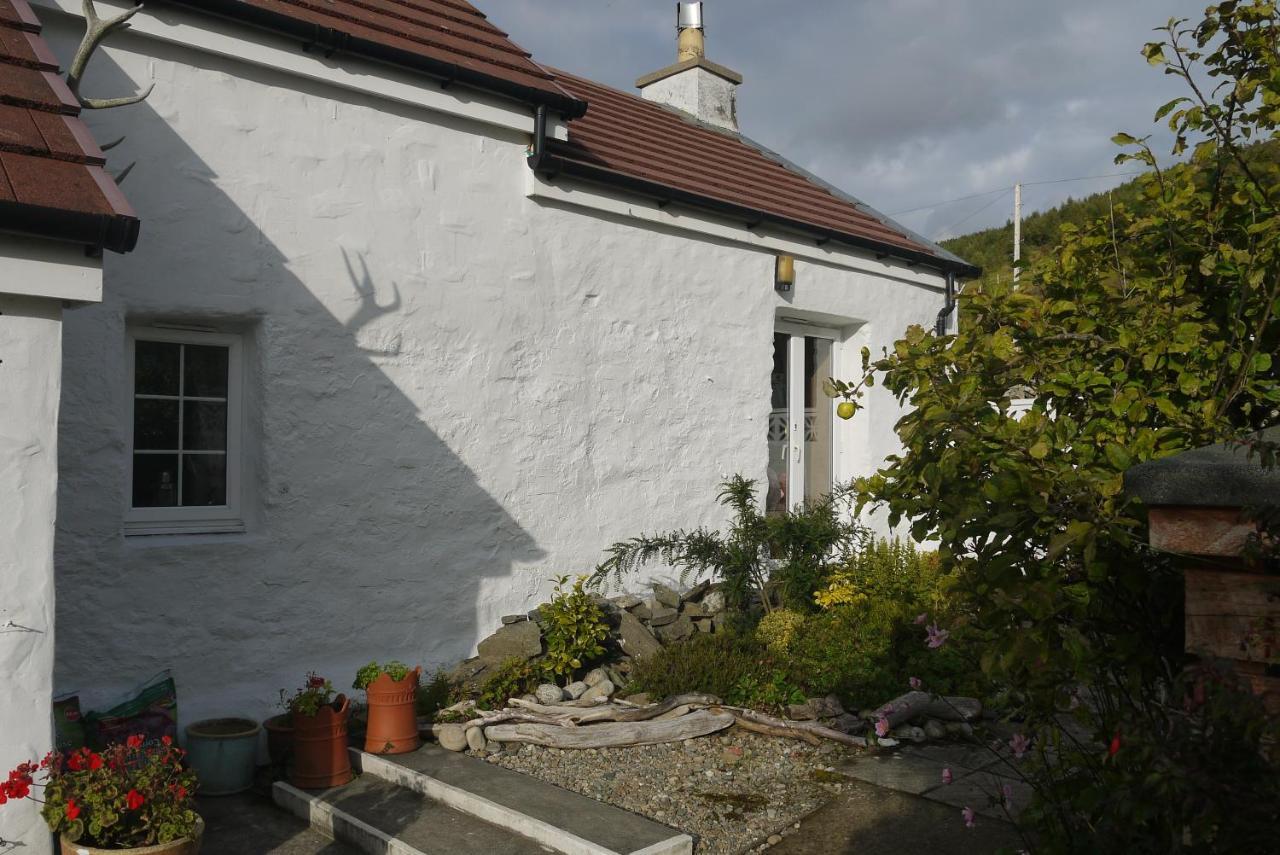 Willow Cottage, Isle Of Arran Thundergay Eksteriør billede